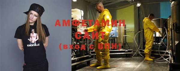 индика Беломорск