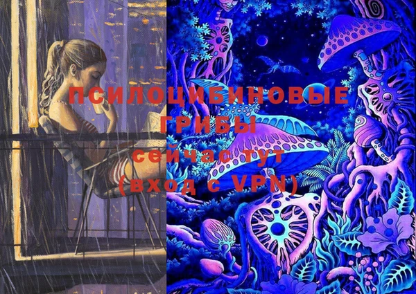 таблы Белокуриха