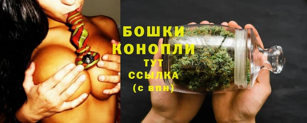 таблы Белокуриха