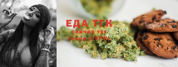 индика Беломорск