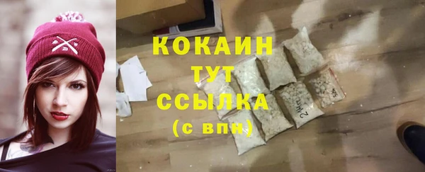 индика Беломорск