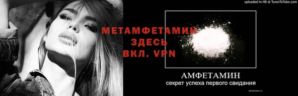 индика Беломорск