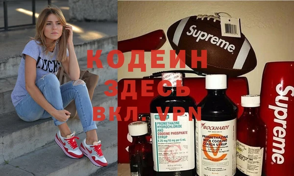 индика Беломорск