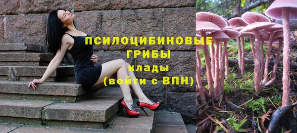 индика Беломорск