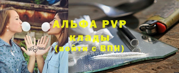 индика Беломорск