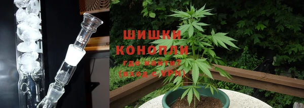 стафф Нефтегорск