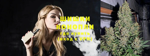 индика Беломорск