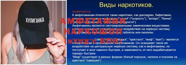 индика Беломорск