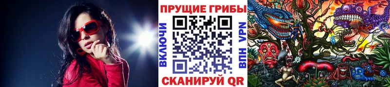 Галлюциногенные грибы Magic Shrooms  Суздаль 